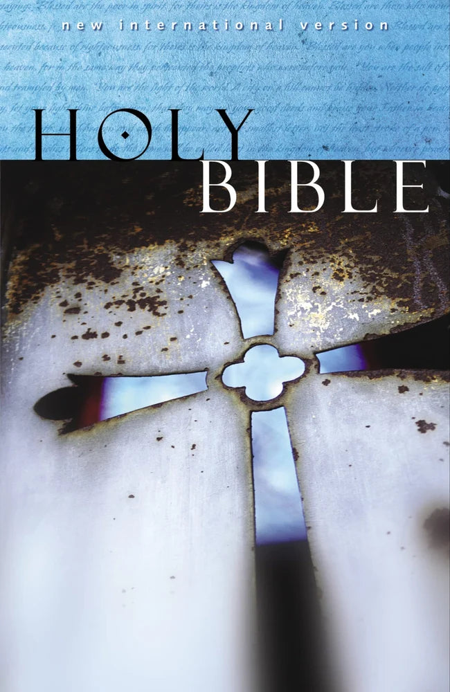 Zondervan (author) English NIV, Holy Bible, Paperback Book, Page: 1024 Pages