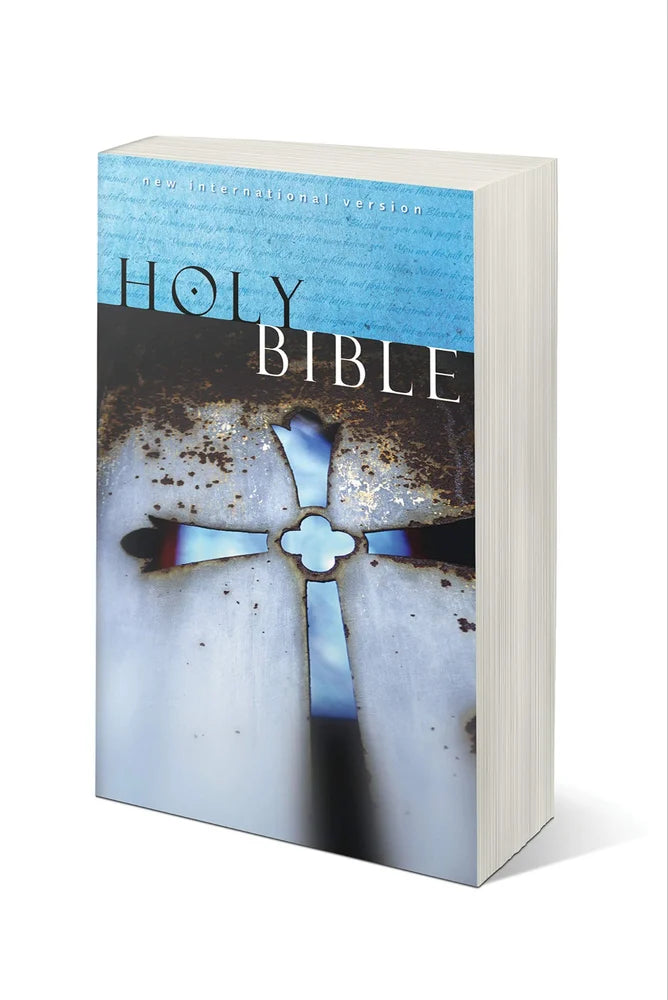 Zondervan (author) English NIV, Holy Bible, Paperback Book, Page: 1024 Pages